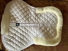 Riding horse riding for sale  DORCHESTER