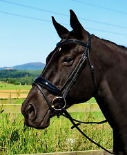 Fss classic freeform for sale  INVERURIE