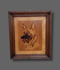 Quadro cane pastore usato  Italia