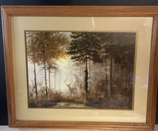 Coulson quiet forest for sale  Chariton