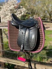 John webb pony gebraucht kaufen  Grasberg