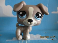 Petshop chien jack d'occasion  Expédié en Belgium