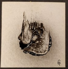 Peinture miniature signée d'occasion  L'Isle-Jourdain