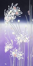 Ayane agapanthus japanese for sale  HATFIELD