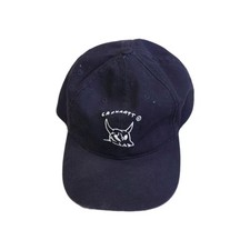Carhartt wip cap for sale  DUNKELD