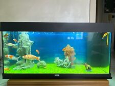 Acquario juwel rio usato  Torino