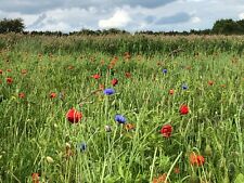 1kg fab meadow for sale  MORETON-IN-MARSH