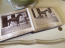 Victorian photograph album for sale  FALKIRK