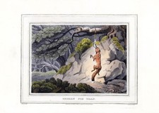 1813 field sport for sale  ASHFORD