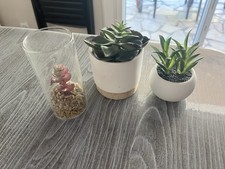 Plantes artificielles d'occasion  Nice-