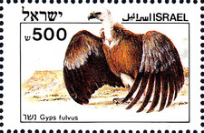 Mnh postfrisch tier gebraucht kaufen  Unna