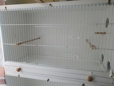 Budgerigar breeding cages for sale  NEWTON ABBOT