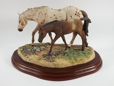 appaloosa horses for sale appaloosa horses for sale NEWMARKET