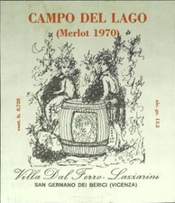 Campo del lago usato  Monza
