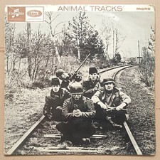 The animals animal usato  Piombino