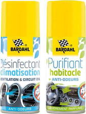 Pack nettoyant purifiant d'occasion  Saint-Barthélemy-d'Anjou