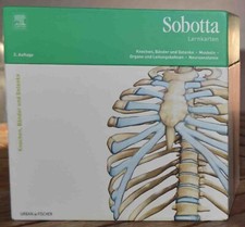 Sobotta lernkarten anatomie gebraucht kaufen  Saal a.d.Donau