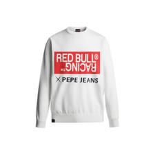 Red bull racing usato  Roccagloriosa