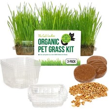 Cat grass indoor for sale  Brentwood