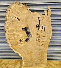 Mulberry burl slice for sale  Bacliff