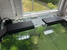 Dennerle nanostyle led gebraucht kaufen  Bornheim