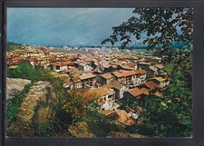 Cartolina tavagnasco panorama usato  Italia