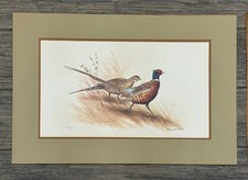 Ltd print maynard for sale  San Antonio