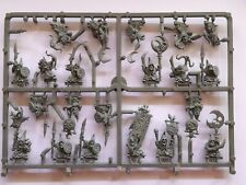 Warhammer fantasy sprue usato  Catania