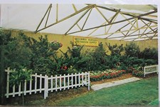 Greenway nursery garden for sale  Wilmington