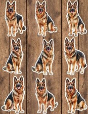 German shepard dog for sale  Corona