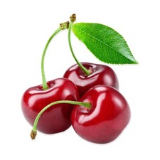 Cherry tree stella for sale  BANBURY
