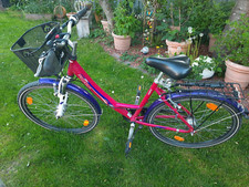 Pegasus avanti purple gebraucht kaufen  Langenselbold