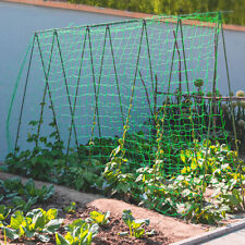 Garden plant climbing for sale  MANCHESTER