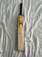 Woodworm torch pioneer for sale  LONDON