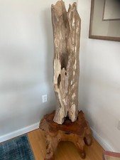 Large polished indonesian for sale  Makanda