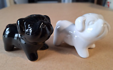 white english bulldog for sale white english bulldog for sale STEVENAGE