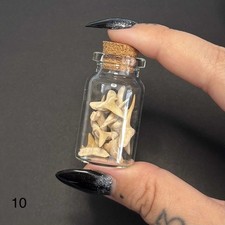 Bottle sharks teeth for sale  LEIGH-ON-SEA