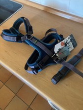 geschirr hund gepolstert gebraucht kaufen  Gilching