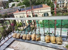 Bottiglia paglia vino usato  Napoli