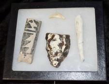 Frame anasazi pottery for sale  Leesville