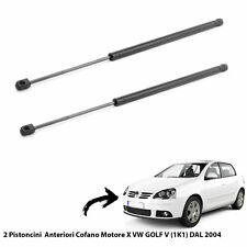 Molle gas pistoncini usato  Italia