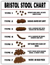 Bristol stool chart for sale  LYTHAM ST. ANNES