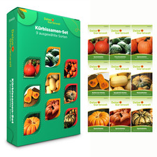 Kürbissamenset sorten samen gebraucht kaufen  Pulheim
