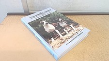 Staffordshire terriers america for sale  UK