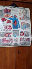 anatomische poster gebraucht kaufen anatomische poster gebraucht kaufen Pfinztal