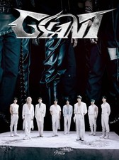 Stray Kids Giant Limited Edition B na sprzedaż  Wysyłka do Poland