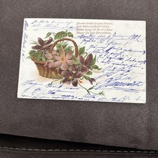 Postkarte weltpostverein blume gebraucht kaufen  Hildesheim