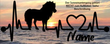 Aufkleber pferde shetlandpony gebraucht kaufen  Munster
