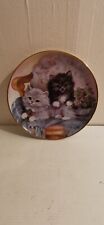 Cute kittens cuddly for sale  GLASGOW