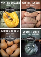 Winter squash seed for sale  Saint Petersburg
